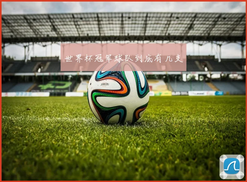 世界杯冠军球队到底有几支