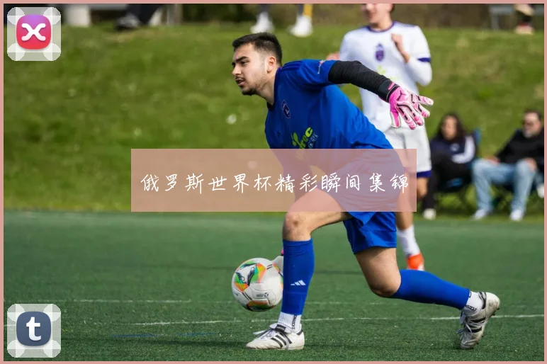 俄罗斯世界杯精彩瞬间集锦