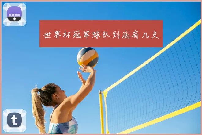 世界杯冠军球队到底有几支